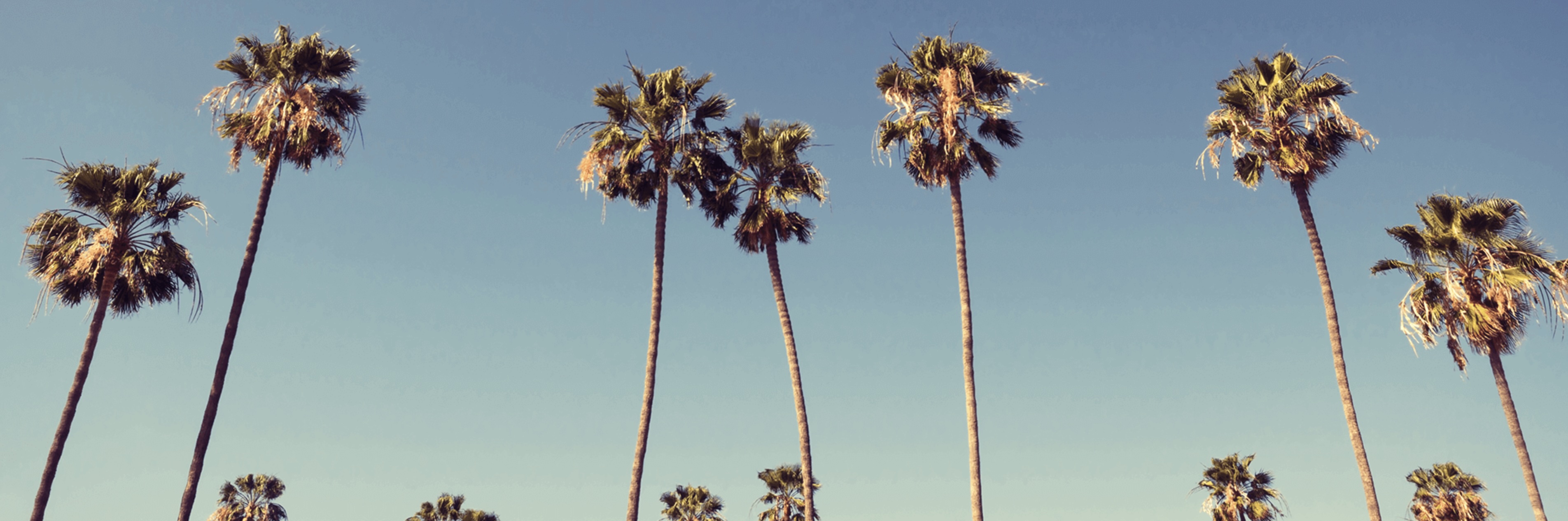 Baxter of California