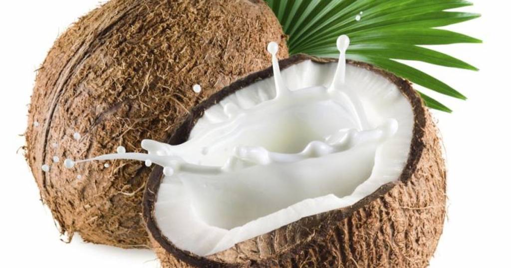 Buy Coconut Milk Online Real Thai Coconut Milk Thai Food Direct