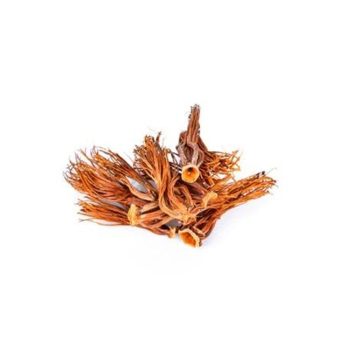 Grab Thai Dried Red Cotten Tree Flower / Dok Ngiew ดอกงิ้ว 10g