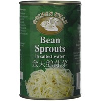 Golden Swan Bean Sprouts 400g