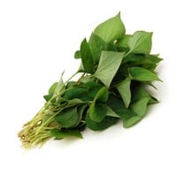 Phak Khao Tong (Fish Mint) 100g  FRESH- PLEASE CHOOSE NEXT DAY DELIVERY