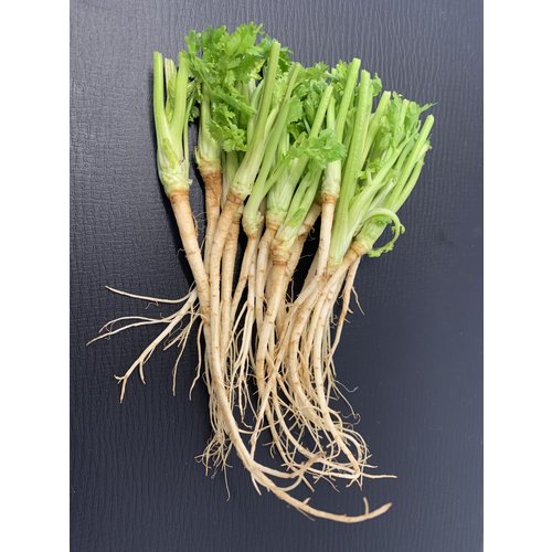 Coriander Root  30-35g