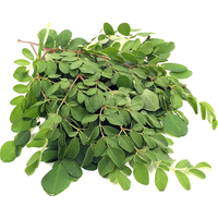 Moringa Horse Radish Leaf / ใบมะรุม 100g FRESH- PLEASE CHOOSE NEXT DAY DELIVERY