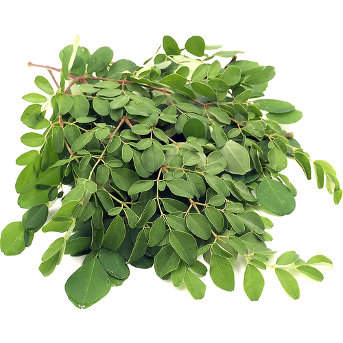 Moringa Horse Radish Leaf / ใบมะรุม 100g FRESH- PLEASE CHOOSE NEXT DAY DELIVERY