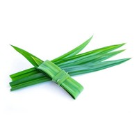 Pandan Leaf 100g (T2) FRESH - PLEASE CHOOSE THE NEXT DAY DELIVERY