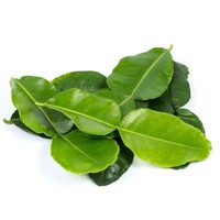Fresh Kaffir Lime Leave 20g T2 FRESH- PLEASE CHOOSE NEXT DAY DELIVERY