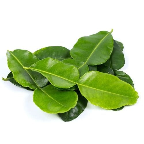 Fresh Kaffir Lime Leave 20g ใบมะกรูด T2 (FRESH - PLEASE CHOOSE NEXT DAY DELIVERY)