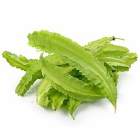 Wing Bean 100g T2  FRESH- PLEASE CHOOSE NEXT DAY DELIVERY