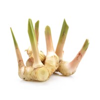 Galangal 100g T2 FRESH- PLEASE CHOOSE NEXT DAY DELIVERY