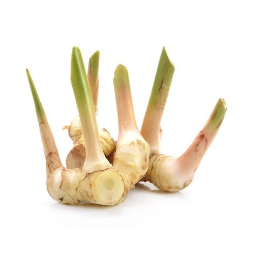 Galangal 100g T2 ( FRESH) PLEASE CHOOSE THE NEXT DAY DELIVERY