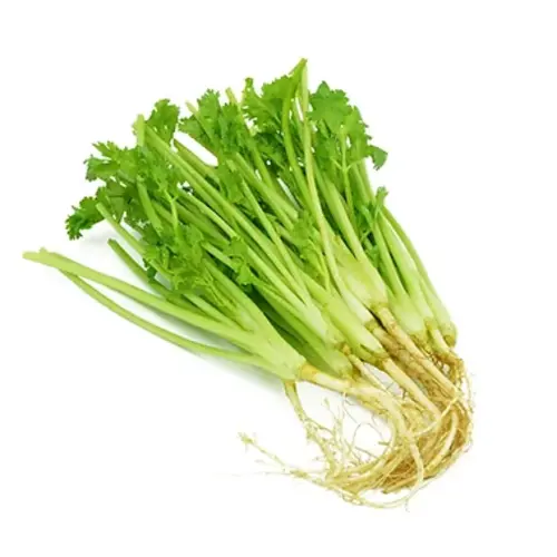 Coriander Root 100g (T2) FRESH- PLEASE CHOOSE NEXT DAY DELIVERY