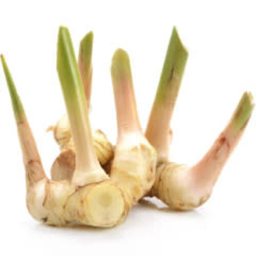 Galangal 100g (H) (FRESH - PLEASE CHOOSE NEXT DAY DELIVERY)