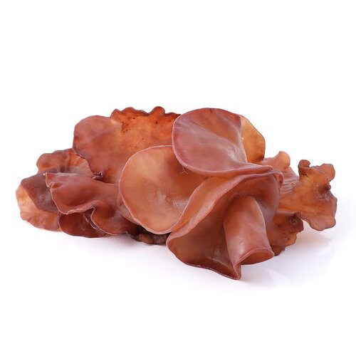 Jelly Ear Mushroom 100g เห็ดหูหนู (T2) FRESH - PLEASE CHOOSE THE NEXT DAY DELIVERY