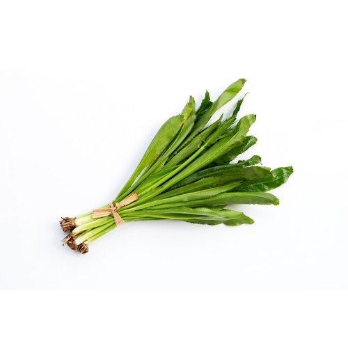 Parsley - Stinking Leaves / ผักชีฝรั่ง 100g (T2) FRESH PLEASE CHOOSE THE NEXT DAY DELIVERY