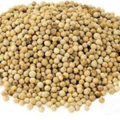 Whole White Peppercorn 100g Best Before 04/24