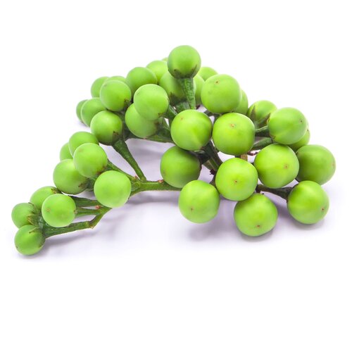 Pea Eggplant 100g (T2) FRESH- PLEASE CHOOSE NEXT DAY DELIVERY
