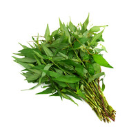 Vietnamese Coriander - 100g (T2) FRESH PLEASE CHOOSE THE NEXT DAY DELIVERY
