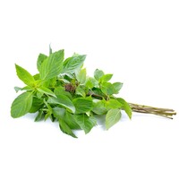 Sweet Basil (Thai Basil) ใบโหระพา 100g TT FRESH-PLEASE USE NEXT DAY DELIVERY ONLY