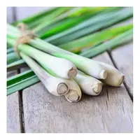 Lemongrass (Takrai) 100g TT(FRESH - PLEASE CHOOSE NEXT DAY DELIVERY