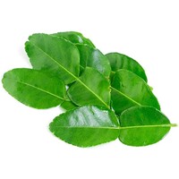 Fresh Kaffir Lime Leave 50g ใบมะกรูด TT (FRESH - PLEASE CHOOSE NEXT DAY DELIVERY ONLY)