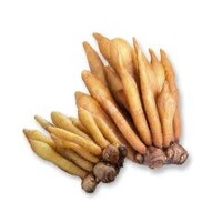 Kaempfer / Krachai 100g (TT) FRESH CHOOSE NEXT DAY DELIVERY ONLY