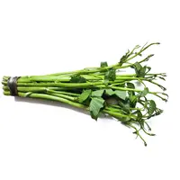Thai Morning Glory ผักบุ้งไทย 200g (TT)