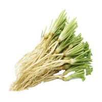 Coriander Roots 100g (TT) CHOOSE NEXT DAY DELIVERY ONLY