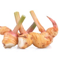 Galangal 100g TT ( FRESH) PLEASE CHOOSE THE NEXT DAY DELIVERY