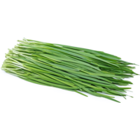 Chive Leek-Chinese Chive Approx 100g T2 FRESH - PLEASE CHOOSE THE NEXT DAY DELIVERY