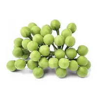 Thai Pea Aubergine 100g FRESH - PLEASE CHOOSE NEXT DAY DELIVERY ONLY
