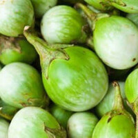 Thai Eggplant 200g TT - FRESH PLEASE CHOOSE NEXT DAY DELIVERY