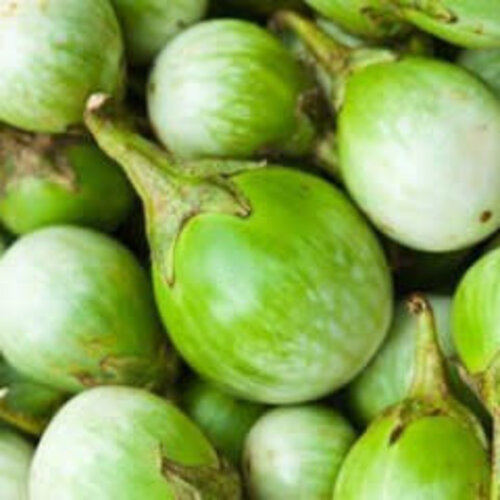 Thai Eggplant 200g TT - FRESH PLEASE CHOOSE NEXT DAY DELIVERY