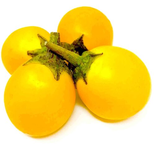 Yellow Eggplant / Aubergine 200g T2
