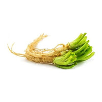Coriander Roots 100g (TT) PLEASSE CHOOSE NEXT DAY DELIVERY  ONLY