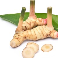 Galangal 100g CL - FRESH PLEASE CHOOSE NEXT DAY DELIVERY