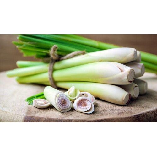 Lemongrass 100g CL FRESH - PLEASE CHOOSE  NEXT DAY DELIVERRY ONLY