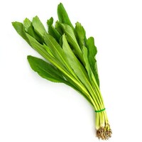 Thai Parsley 100g CL FREH- NEXT DAY DELIVERY ONLY