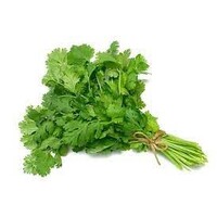 Coriander (No Roots) Approx 75g - 100g FRESH- PLEASE CHOOSE NEXT DAY DELIVERY