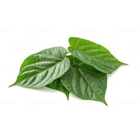 Betel Leaf (Cha Plu) 100g  (H) PLEASE CHOOSE NEXT DAY DELIVERY