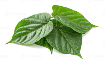 The Health Benefits of Thai Herbs: Lemongrass, Galangal, and Kaffir Lime