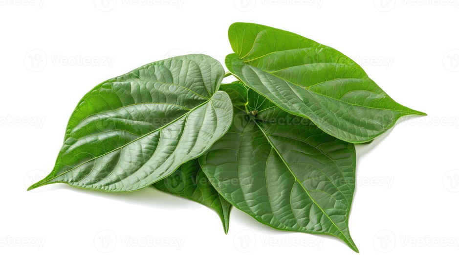 The Health Benefits of Thai Herbs: Lemongrass, Galangal, and Kaffir Lime