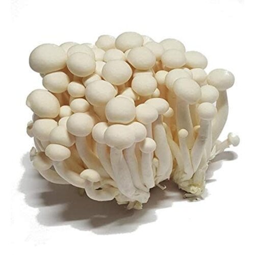 White Shimeji Mushroom 150g FRESH- PLEASE CHOOSE NEXT DAY DELIVERY