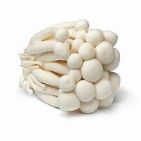 White Shimeji Mushroom 125g FRESH- PLEASE CHOOSE NEXT DAY DELIVERY