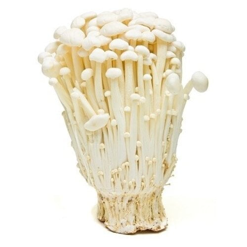 Enoki Mushroom 100g FRESH- PLEASE CHOOSE NEXT DAY DELIVERY