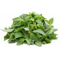 Hairy Basil 100g - ใบแมงลัก (T2) FRESH- PLEASE CHOOSE NEXT DAY DELIVERY