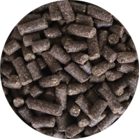 Inbalance Large Breed 10kg