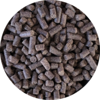 Inbalance Welpe, mittelgross bis gross, 10 kg