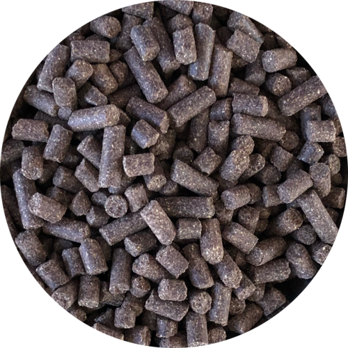 Inbalance Welpe, mittelgross bis gross, 10 kg