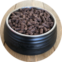 Inbalance Welpe, mittelgross bis gross, 10 kg