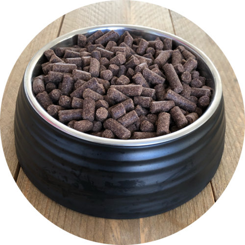 Inbalance Welpe, mittelgross bis gross, 10 kg